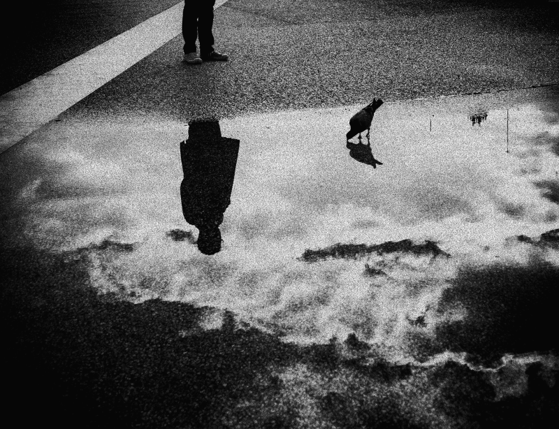 Au-delà de l’obstacle